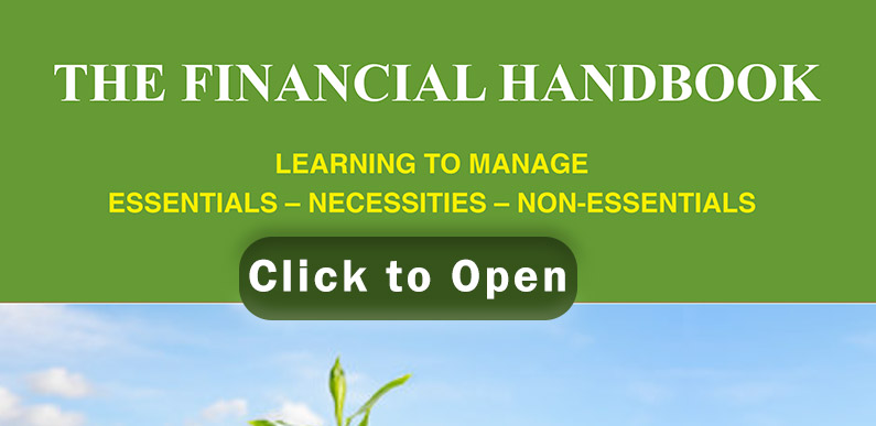 Financial Handbook Financial Handbook